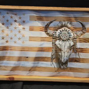 #512 Buffalo Skull, Front View.