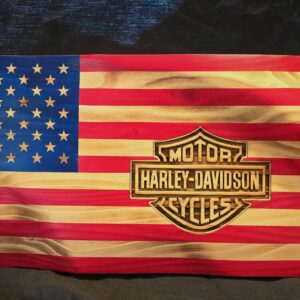 #797 Harley Davidson Front